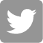 Twitter icon